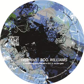 Boo Williams - REPLENISH - SJU EXTENSIONS