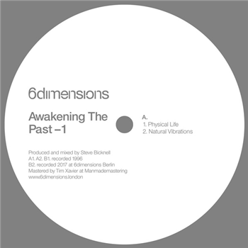 STEVE BICKNELL - Awakening THE PAST - 1 - 6DIMENSIONS