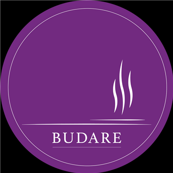 Sakro & Miguel Puente - Vibes EP (Incl. Moreon & Baffa Remix) - BUDARE Sakro & Miguel Puente - Vibes EP (Incl. Moreon & Baffa Remix) - BUDARE