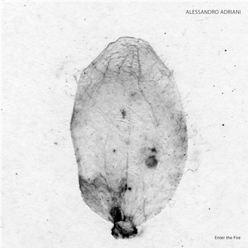 ALESSANDRO ADRIANI - ENTER THE FIRE - Stroboscopic Artefacts