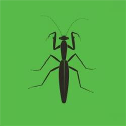 1NC1N - Praying Mantis EP - Zodiak Commune Records