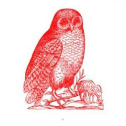 Unknown Artist - Owl 5 - Owl