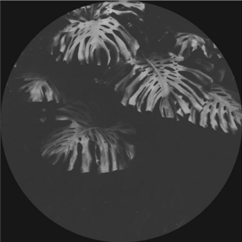 Ben Kaczor - Casia EP - KCZ Ben Kaczor - Casia EP - KCZ