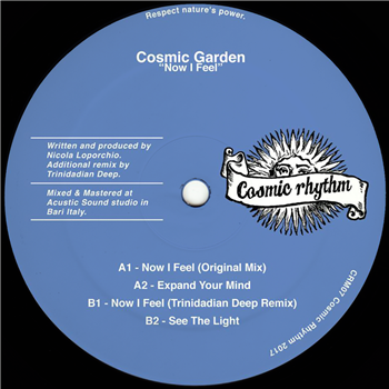 Cosmic Garden - Now I Feel - Cosmic Rhythm