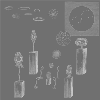 BEAR BONES, LAY LOW - ATLANTEAN ENCRYPTED MESSAGE - RHD BEAR BONES, LAY LOW - ATLANTEAN ENCRYPTED MESSAGE - RHD