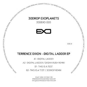 TERRENCE DIXON - DIGITAL LADDER / THIS IS A TEST EP - 30drop