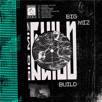Big Miz - Build / Destroy - Dixon Avenue Basement Jams