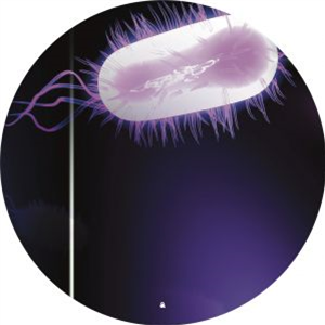 Blug 004 - Va - BLUMOOG MUSIC Blug 004 - Va - BLUMOOG MUSIC