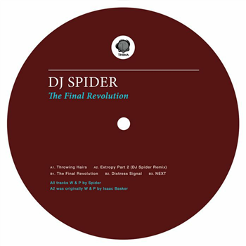 DJ SPIDER - The Final Revolution (feat DJ Spider remix) - Thema DJ SPIDER - The Final Revolution (feat DJ Spider remix) - Thema