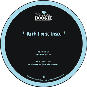 Dark Horse Disco - Understand EP - CLANDESTINE BOOGIE