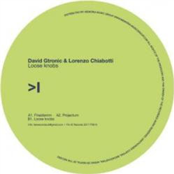 David Gtronic & Lorenzo Chiabotti - Loose Knobs - FA>IE David Gtronic & Lorenzo Chiabotti - Loose Knobs - FA>IE