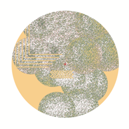 JÓNBJÖRN / NEOTNAS - EASTERN SPLIT EP - D.KO JÓNBJÖRN / NEOTNAS - EASTERN SPLIT EP - D.KO