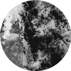 RVO - Taciturn Manner LP - Telemorph RVO - Taciturn Manner LP - Telemorph
