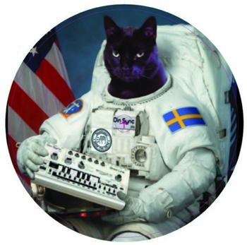 Helltown Acid Militia - Spaced Out in Sweden EP - RE-303 Records Helltown Acid Militia - Spaced Out in Sweden EP - RE-303 Records