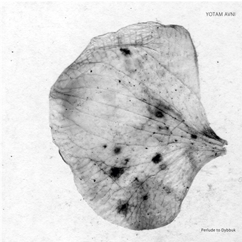 YOTAM AVNI - PERLUDE TO DYBBUK - Stroboscopic Artefacts