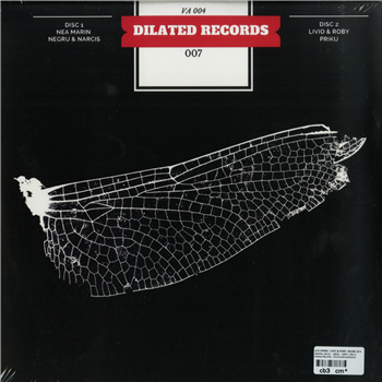 VA004 - Va (2 x 12) - Dilated Records