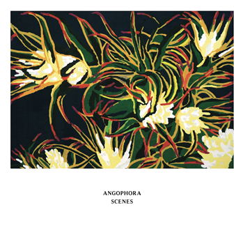 Angophora - Scenes - Ken Oath Angophora - Scenes - Ken Oath