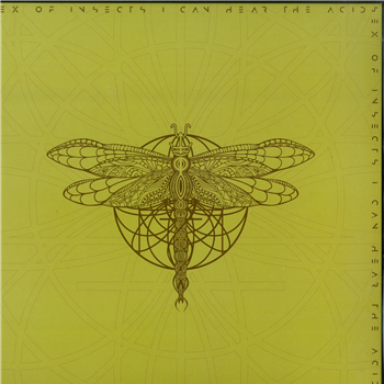 Sex Of Insects - I CAN HEAR THE ACID - Ylotana Music Sex Of Insects - I CAN HEAR THE ACID - Ylotana Music