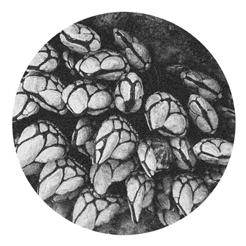 Sheri Vari - Despertardamente EP - PERCEBES Sheri Vari - Despertardamente EP - PERCEBES