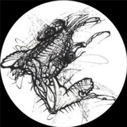 Dark Quadrant - The Cosmic Perspective - Eternal Friction Records Dark Quadrant - The Cosmic Perspective - Eternal Friction Records