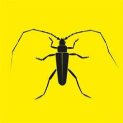 Acidupdub - Longhorn Beetle EP - Zodiak Commune Records