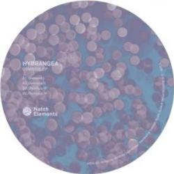 Hydrangea - Osmosis - NATCH ELEMENTS Hydrangea - Osmosis - NATCH ELEMENTS