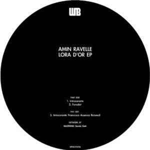 Amin Ravelle - Lora dOr - What Now Becomes LTD