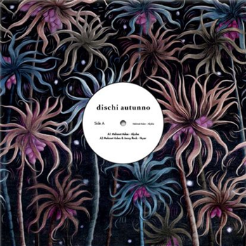 Mehmet Aslan - Alysha - Dischi Autunno Mehmet Aslan - Alysha - Dischi Autunno