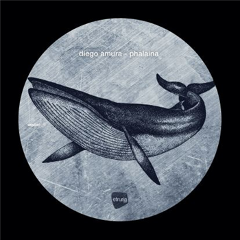 Diego Amura - Phalaina - Etruria Beat Diego Amura - Phalaina - Etruria Beat