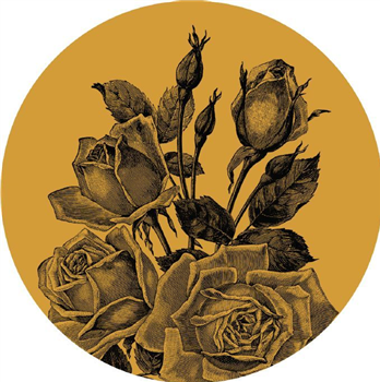 Funk E Presents: Marvin Gain - Gone In Roses EP - FLOORPIECE