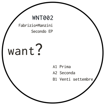 Fabrizio Manzini - Secondo EP - Want?