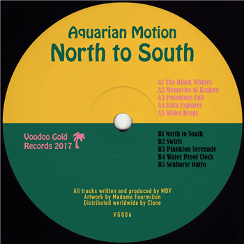 Aquarian Motion - North to South - Voodoo Gold Records