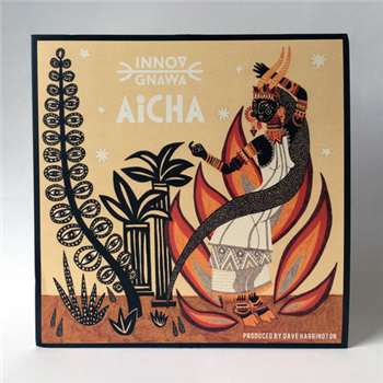 Innov Gnawa - Aicha - Pique-Nique Recordings