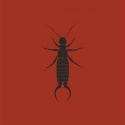 Yakh - The Earwig EP [Pantone Sleeve] - Zodiak Commune Records