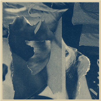Aria Rostami & Daniel Blomquist - Distant Companion LP - Dark Entries Aria Rostami & Daniel Blomquist - Distant Companion LP - Dark Entries
