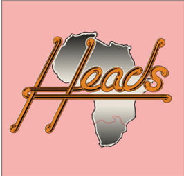 HEADS RECORDS SOUTH AFRICAN DISCO-DUB EDITS - VARIOUS ARTISTS - Soundway Records