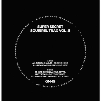 Super Secret Squirrel Trax Vol 5 - Va - Guesthouse