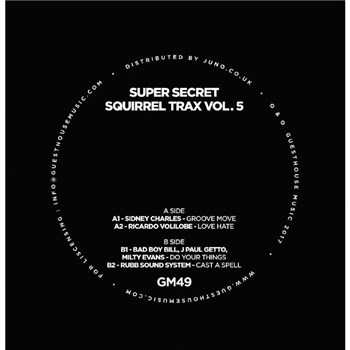 Super Secret Squirrel Trax Vol 5 - Va - Guesthouse Super Secret Squirrel Trax Vol 5 - Va - Guesthouse