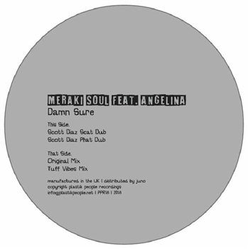 MERAKI SOUL feat ANGELINA (feat Scott Diaz & Tuff Vibes mixes) - Damn Sure - Plastik People