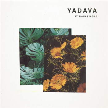 Yadava - It Rains Here - Church