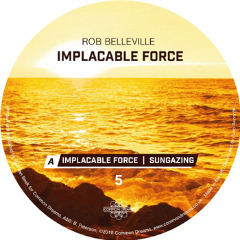 Rob BELLEVILLE - Implacable Force - Common Dreams