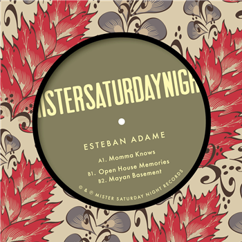Esteban Adame - Mayan Basement EP - Mister Saturday Night