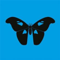 1NC1N - The Butterfly Effect LP [pantone sleeve] - Zodiak Commune Records