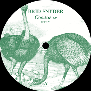 Brid & Snyder - SECRET PLACES EP - Resopal