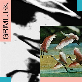 Grim Lusk - SUNLP0101 - Domestic Exile