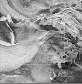 Christopher Ledger - MPC Sketches - BROUQADE Christopher Ledger - MPC Sketches - BROUQADE