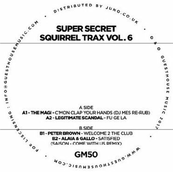 Super Secret Squirrel Trax Vol 6 - Va - Guesthouse