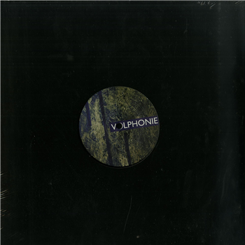 Solaxid - MOON LIGHT EP - VOLPHONIE 