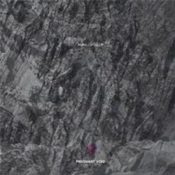 hi.mo - urtìis (2 X LP) - Pregnant Void hi.mo - urtìis (2 X LP) - Pregnant Void