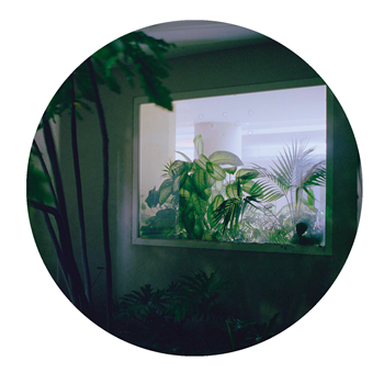 Ray Kandinski - Cressida EP - Lost Palms